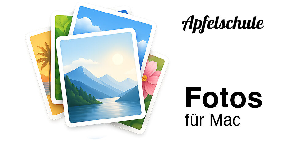 Fotos Kurs 6